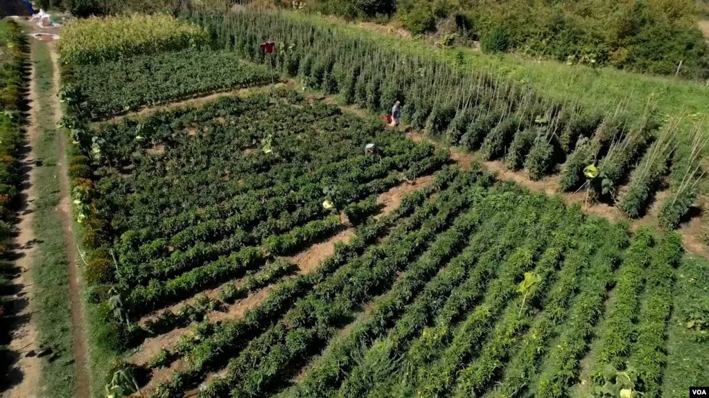 Shqipëri, fermerët e vegjël sfidojnë vështirësitë për të mbështetur turizmin