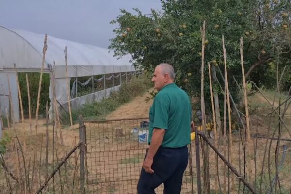 Shqipëri, fermerët e vegjël përballë emigracionit dhe çmimeve të ulëta