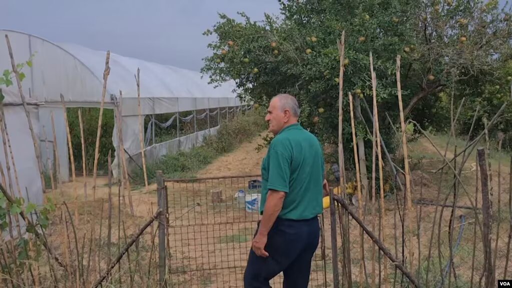 Shqipëri, fermerët e vegjël përballë emigracionit dhe çmimeve të ulëta