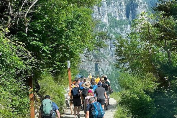 Turizmi në korrik në rënie: Të huajt rriten me 2.8%