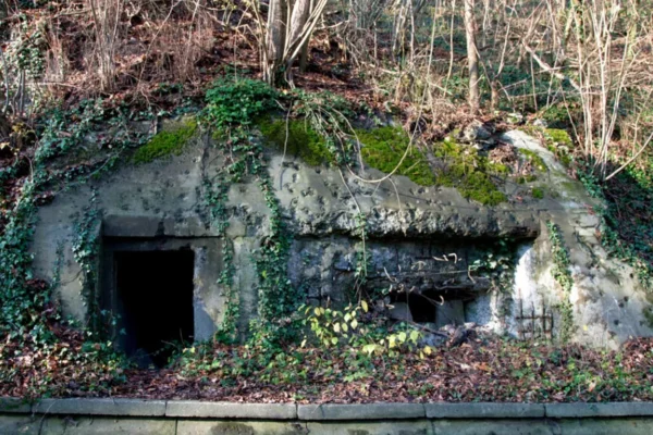 Zvicra ringjall bunkerët e kohës së luftës mes shqetësimeve të shtuara për sigurinë