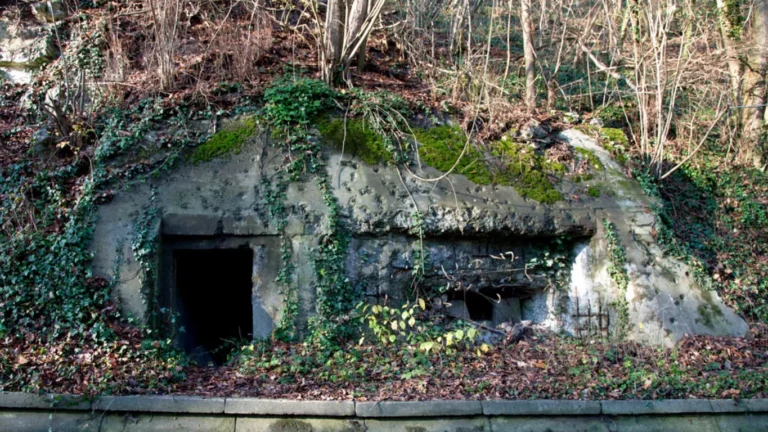Bunker