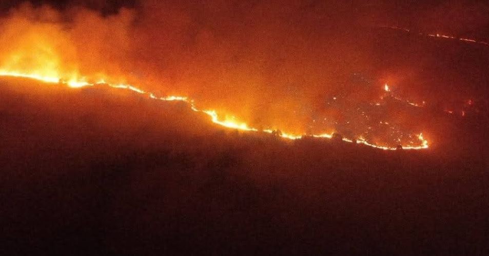 Shqipëria dhe gjithë rajoni i Ballkanit ftohen prej vitesh të rrisin investimet në mbrojtjen e klimës. Banka Botërore në raportin  2024: Në 10 vite, zjarret janë shtuar 21%