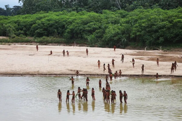 Mashco Piro: Fisi i izoluar i Amazonës dhe rreziqet e kohës moderne