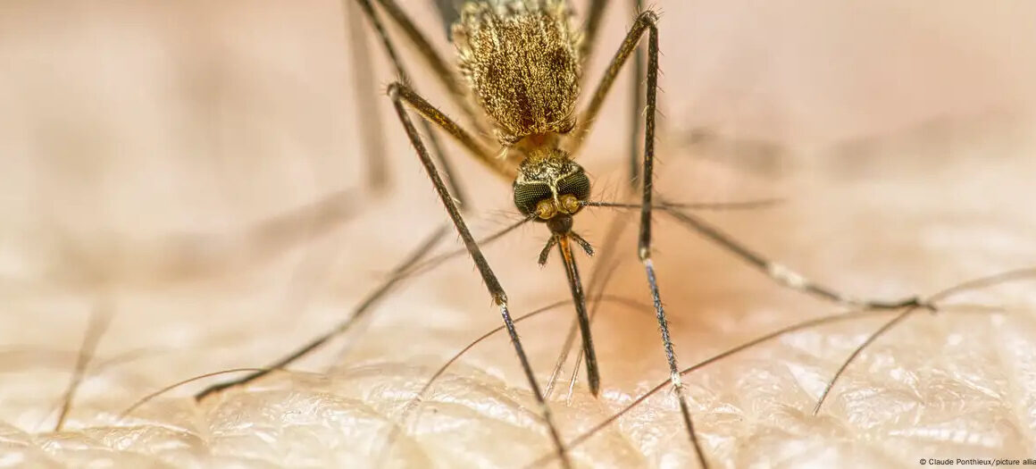 Si po e dëmton shëndetin tonë ndryshimi i klimës