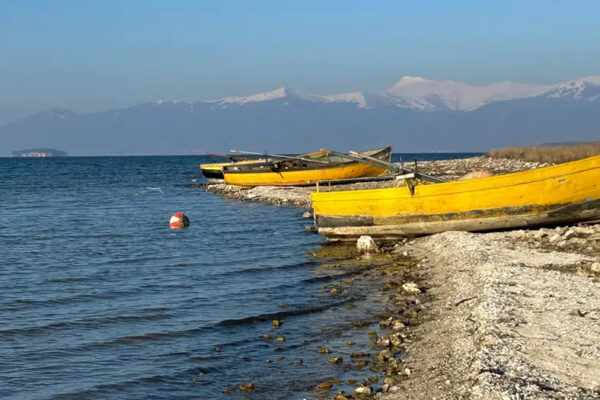 Shpëtimi i Liqenit të Prespës përmes bashkëpunimit ndërkufitar
