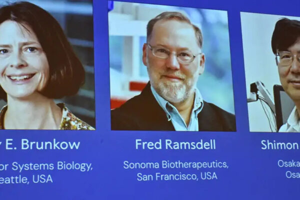 Brunkow, Ramsdell dhe Sakaguchi fitojnë çmimin Nobel në mjekësi për kërkimin në sistemin imunitar