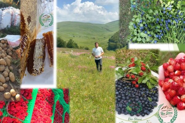 “Bio Stani” Buzëmadhe Kukës, një histori suksesi që nisi nga dashuria për natyrën dhe kulturën