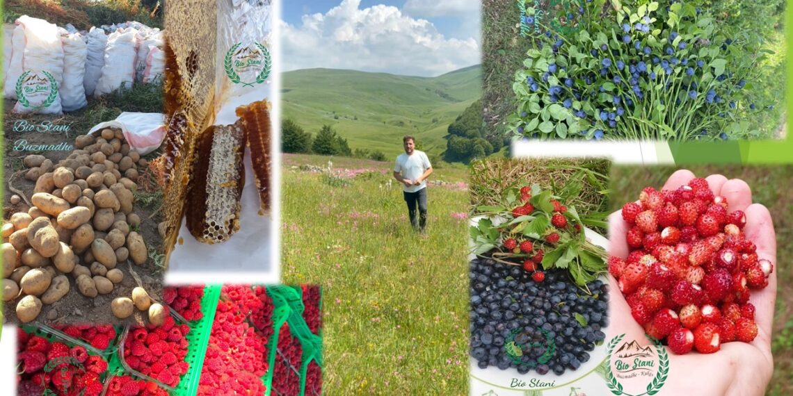 “Bio Stani” Buzëmadhe Kukës, një histori suksesi që nisi nga dashuria për natyrën dhe kulturën