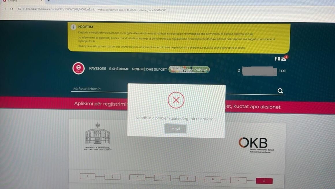 “Bie shteti online”, nuk kryhet dot asnjë veprim, bizneset: Kjo është e patolerueshme