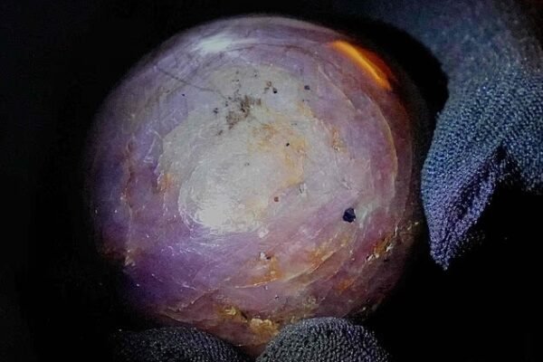 Zbulohet safir i rrallë “Purple Star Sapphire” 3,563 karatë në Sri Lanka, vlera 300 milionë dollarë
