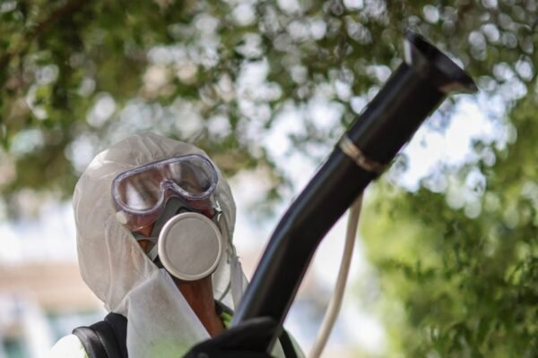 Një sëmundja tropikale mund të përhapet në pjesën më të madhe të Europës, sipas një studim