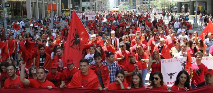 Diaspora shqiptare në botë, Dhoma e Biznesit të Diasporës jep shifrat