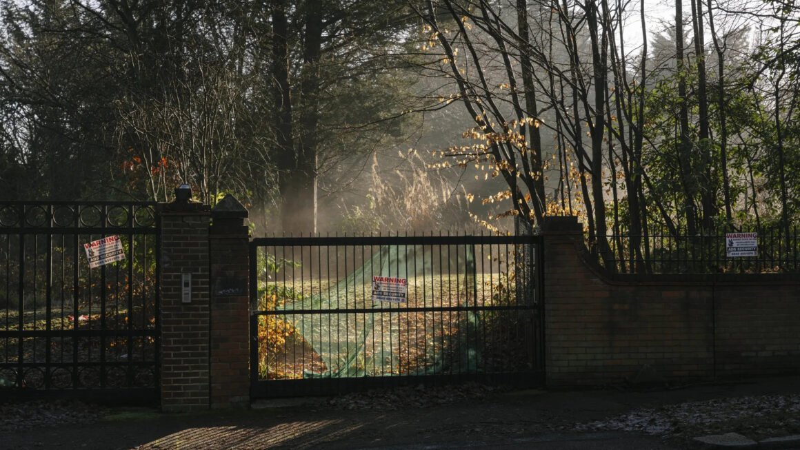 Djali i liderit iranian dhe perandoria globale e pronave që ndërtoi