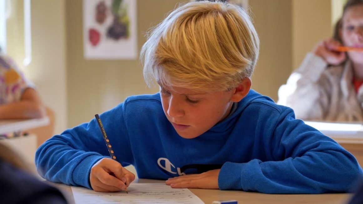 Pas zhgënjimit me digjitalizimin, Suedia rikthen librat në shkolla